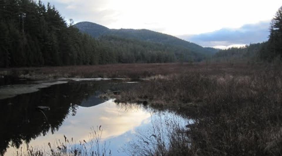 Berrymill Pond is a scenic destination.