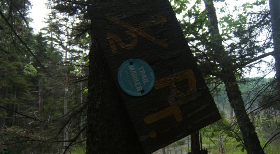 Look for these disks to stay on the trail.