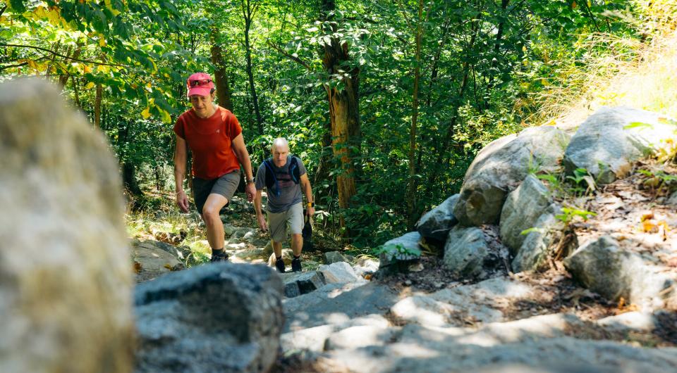 hikers walking up a trail