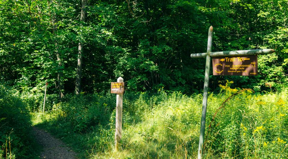 Signs for a fire tower hike