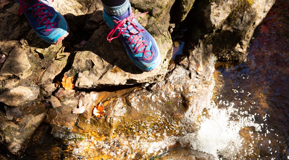 Hiking book near a stream