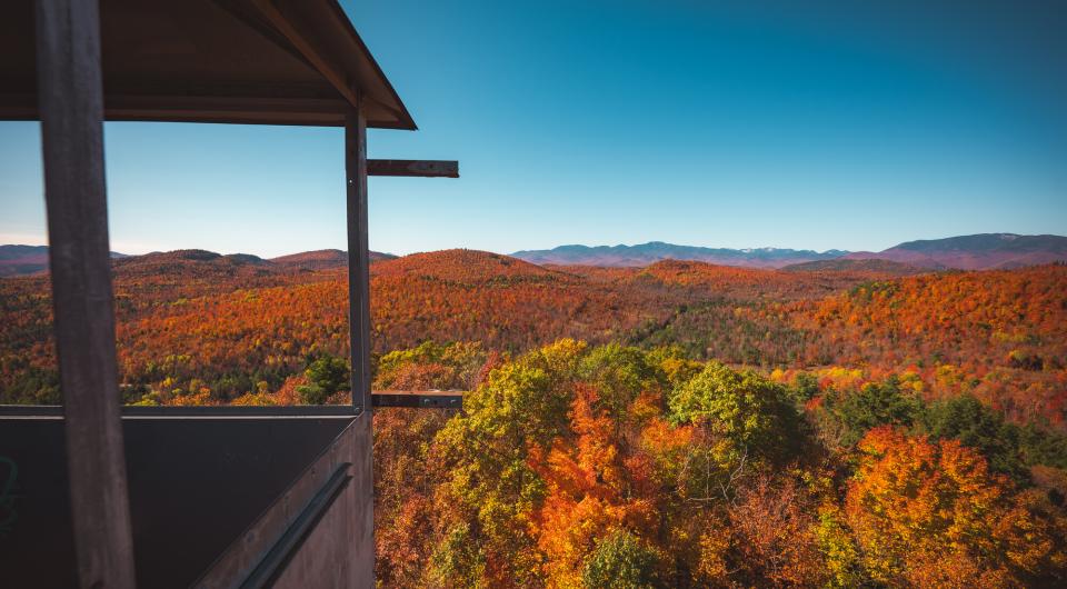 View from a fire tower