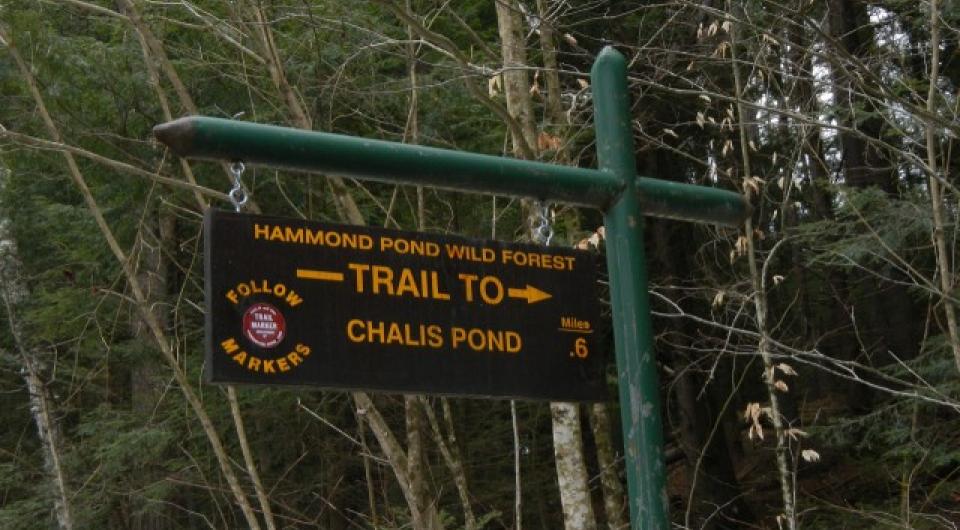 Challis Pond trail sign