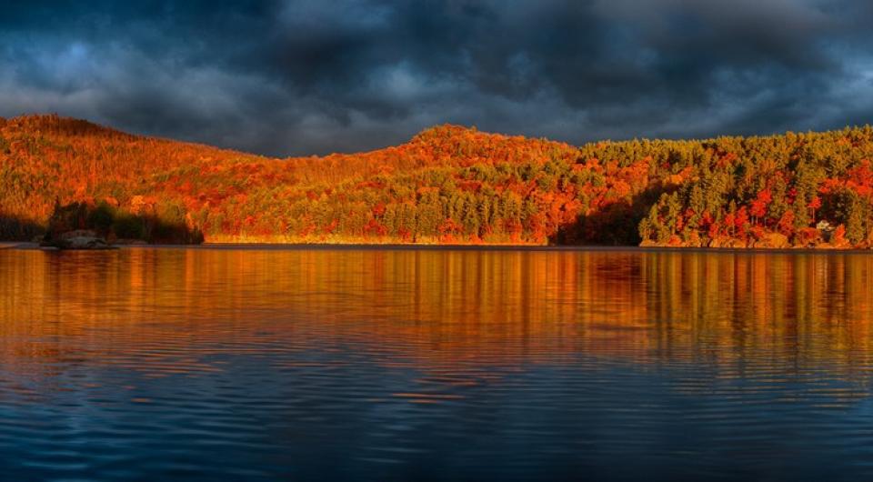 The trees are gorgeous in the fall.