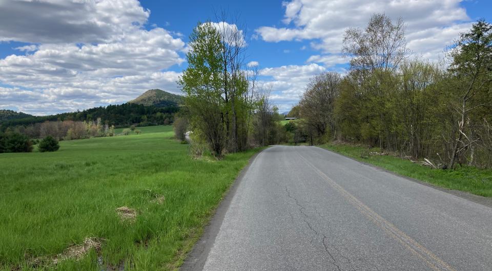 An open road surrounded by greenery and a mountain in the background.