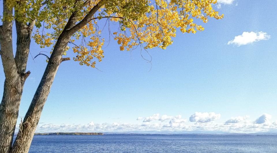 View of Lake Champlain from Port Douglas.