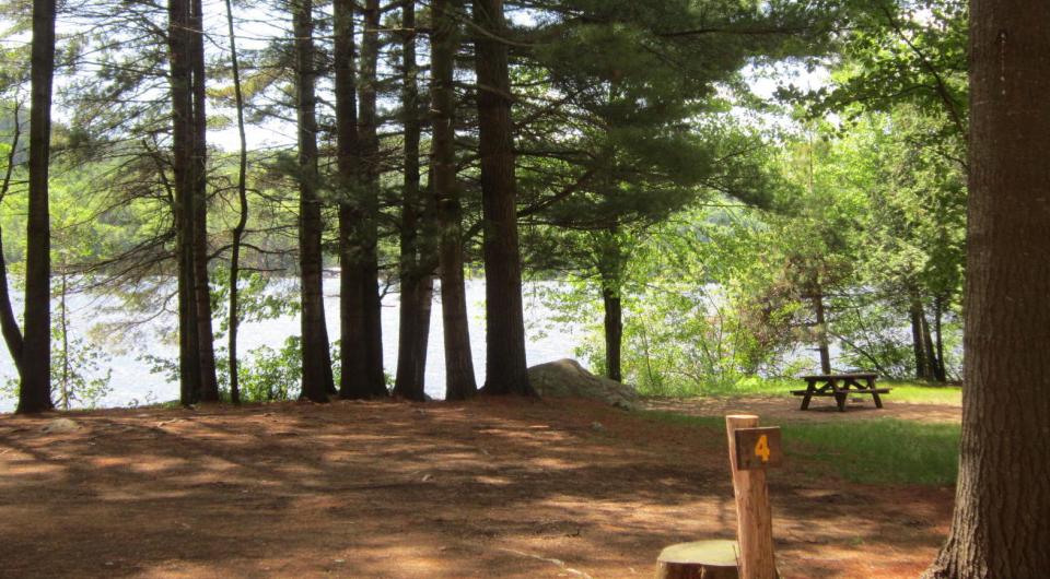 An open area for camping by the water
