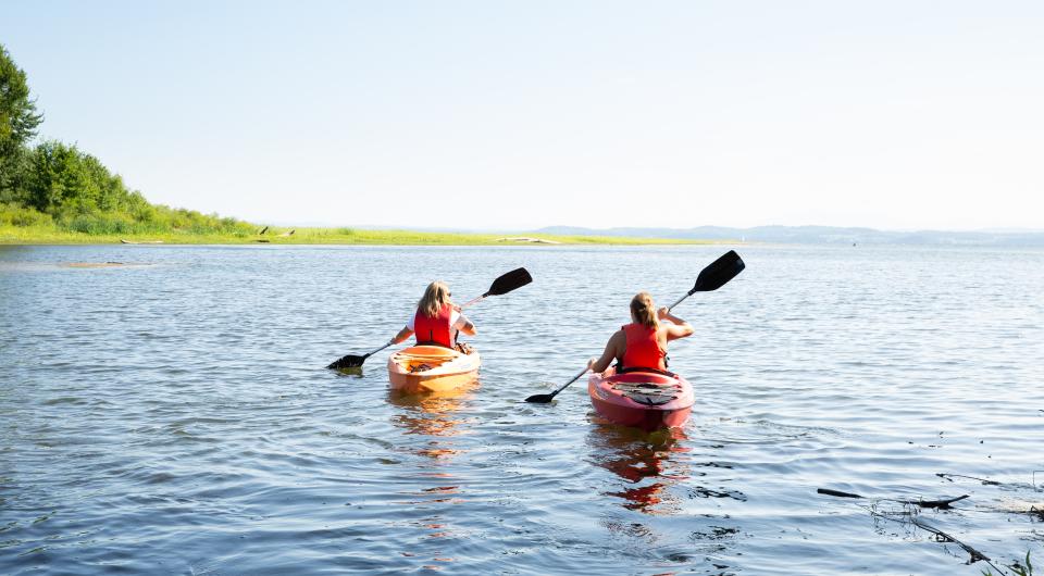 Paddlers on the bay