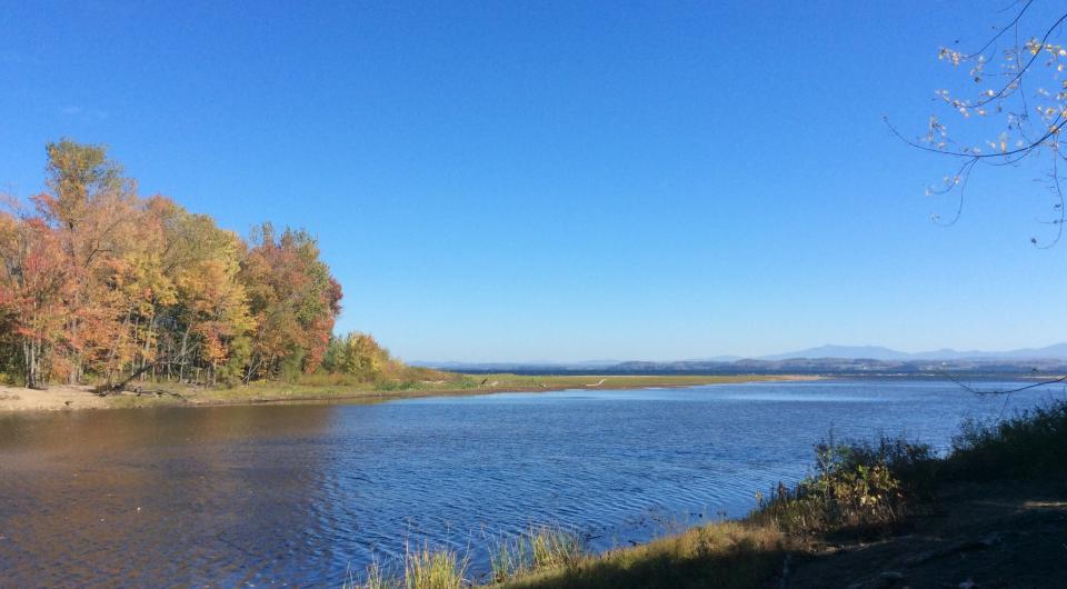 The fall colors in the bay are spectacular.