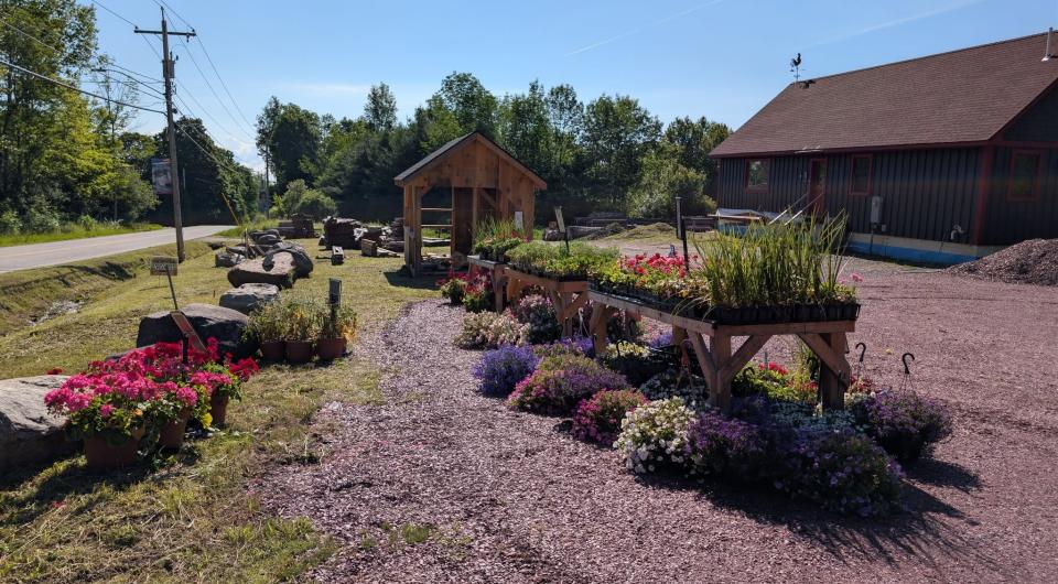 Wooden tables lined with plants at Sprouts Gardens.