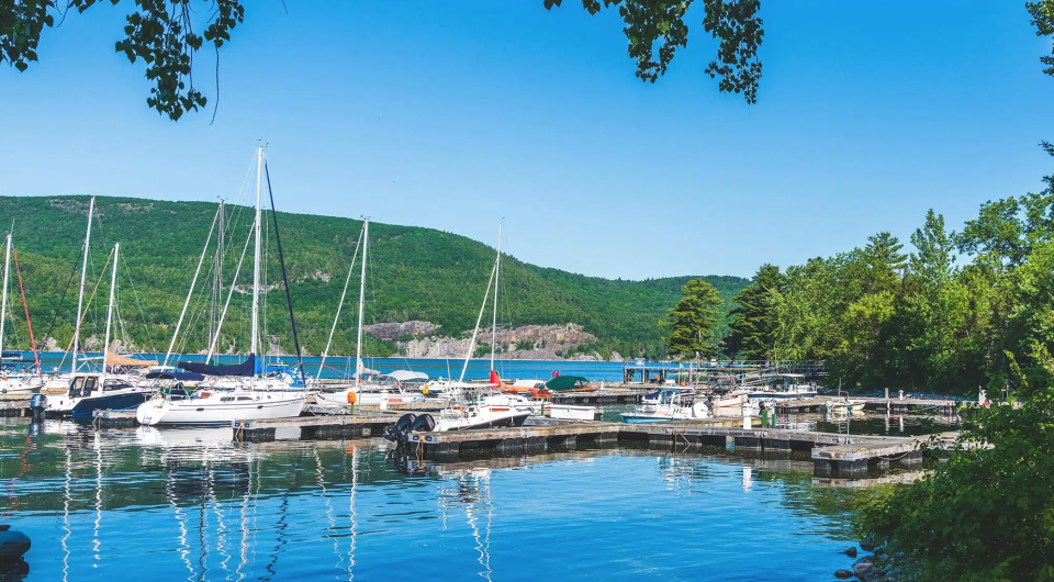 marina in willsboro filled with boats