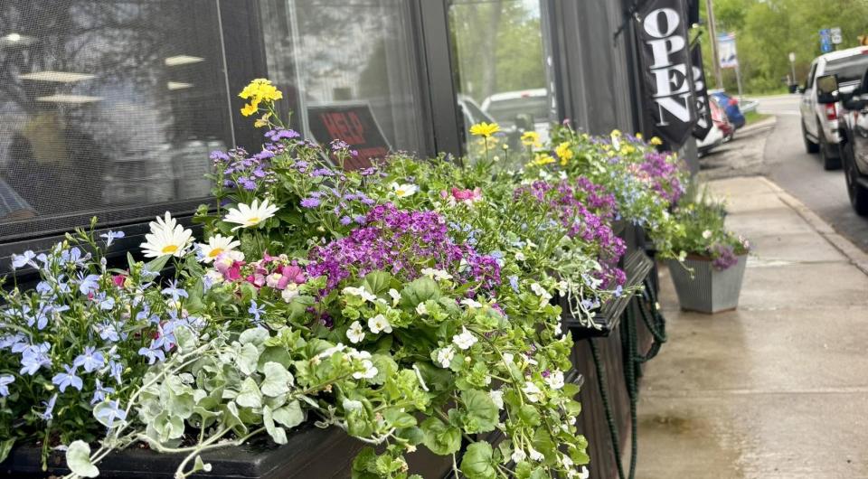 Flower boxes out front of K & D Deli 