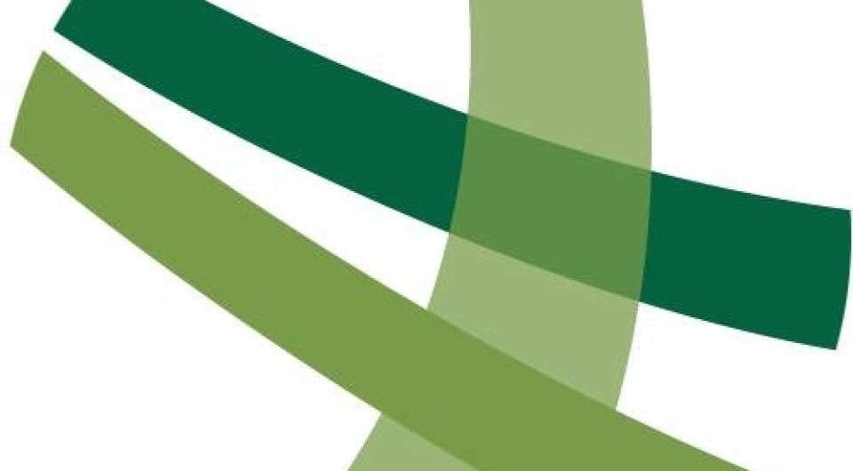 Logo for Champlain Valley Physicians Hospital comprised of three swoops of various green shades