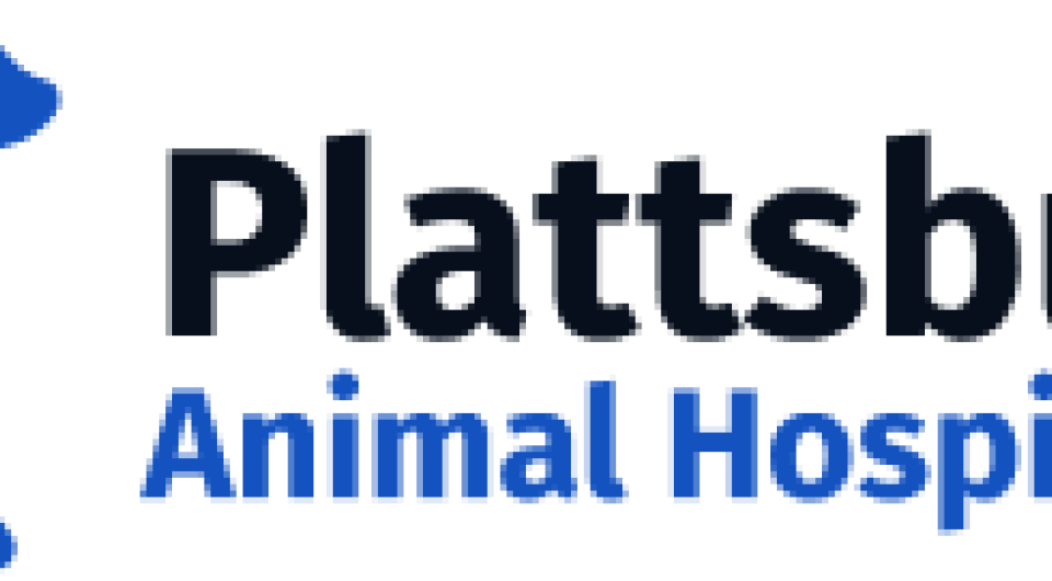A silhouette of a cat and a dog in blue with the text  'Plattsburgh Animal Hospital