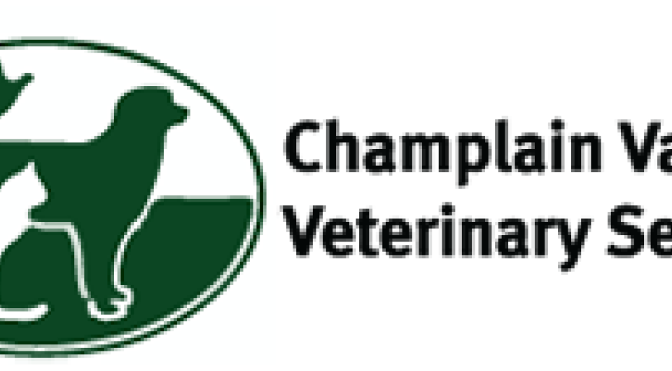 A silhouette of a cat