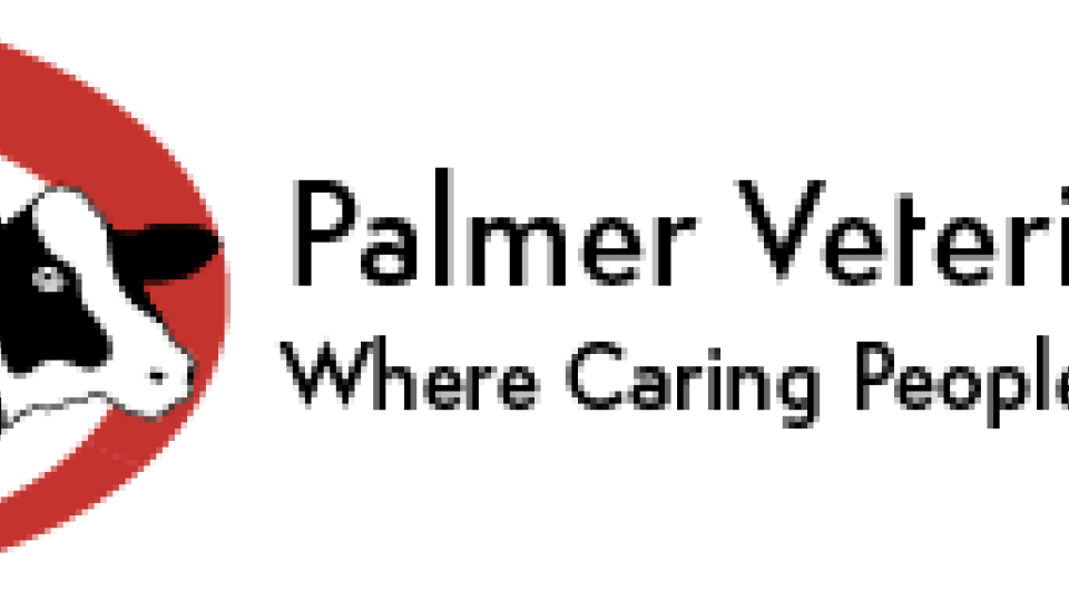 An illustration of a horse