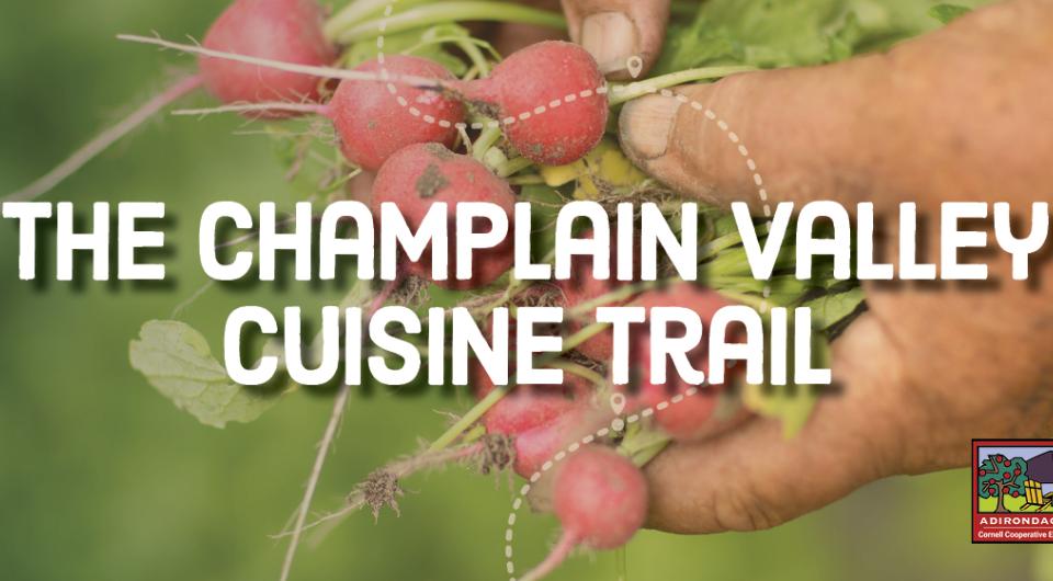 A banner that reads: Champlain Valley Cuisine Trail.