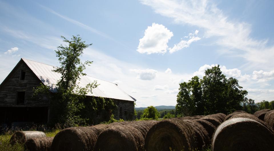 A farm with hay bales rolled up in the field. 
