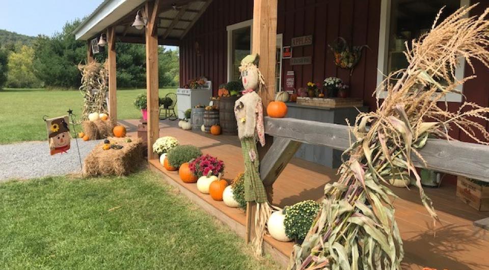 The covered porch decorated for fall