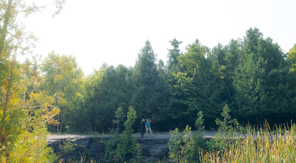 Two people walking on a trail