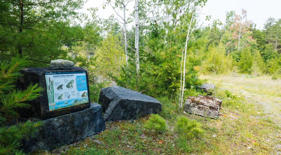 Interpretive signage along a trail