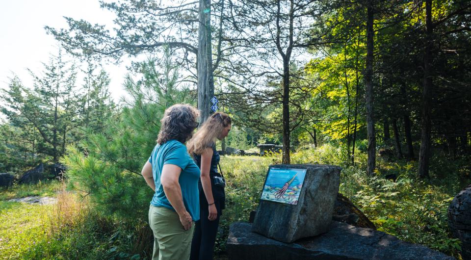 Two people looking at interpretive signage.