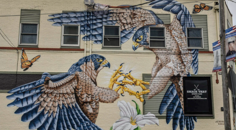 birds