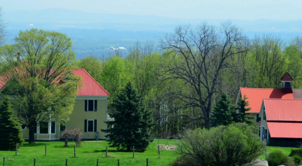 A backed up view of the historic home
