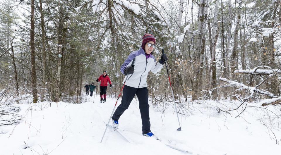 x-country skiers