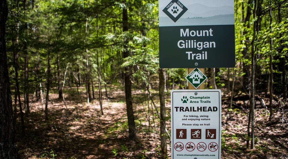 Mount Gilligan trail head