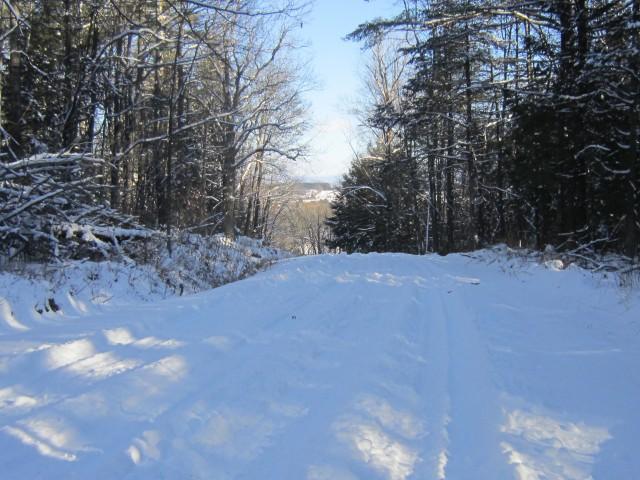 Cook Road in winter