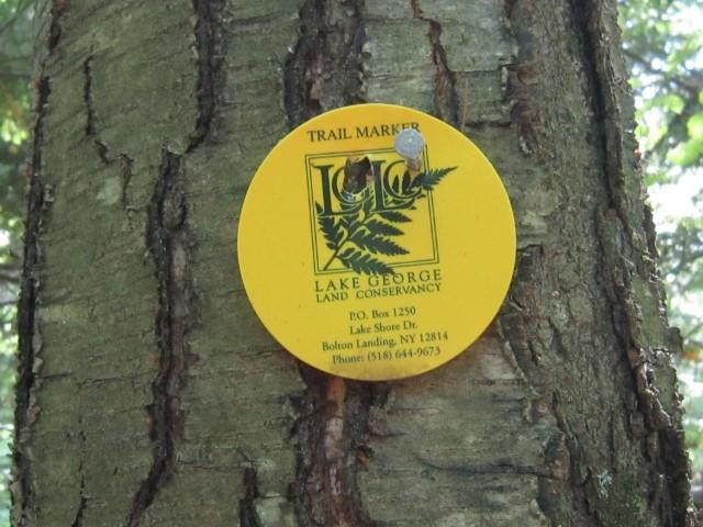 LGLC Yellow Trail Marker