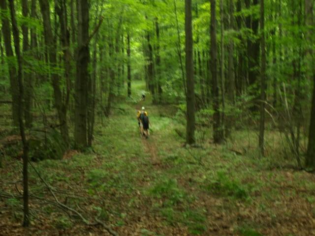 Robin's Run Trail