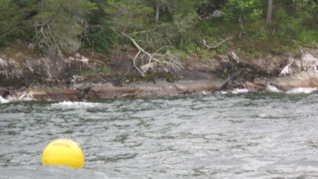 A yellow buoy marks the location of a shipwreck from 1875.