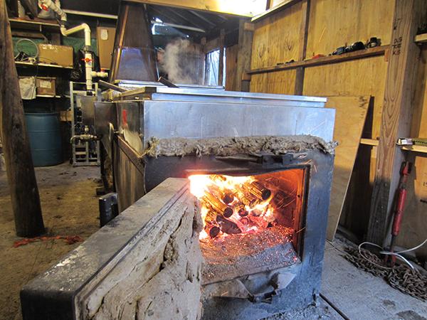 The firebox lit with wood to boil sap.