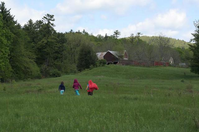 Black Kettle Farm Nature Trail is a lovely nature walk. (Photo courtesy Farmstead Catering at Black Kettle Farm)