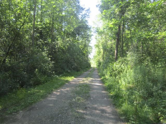 Trail on the old railroad bed.