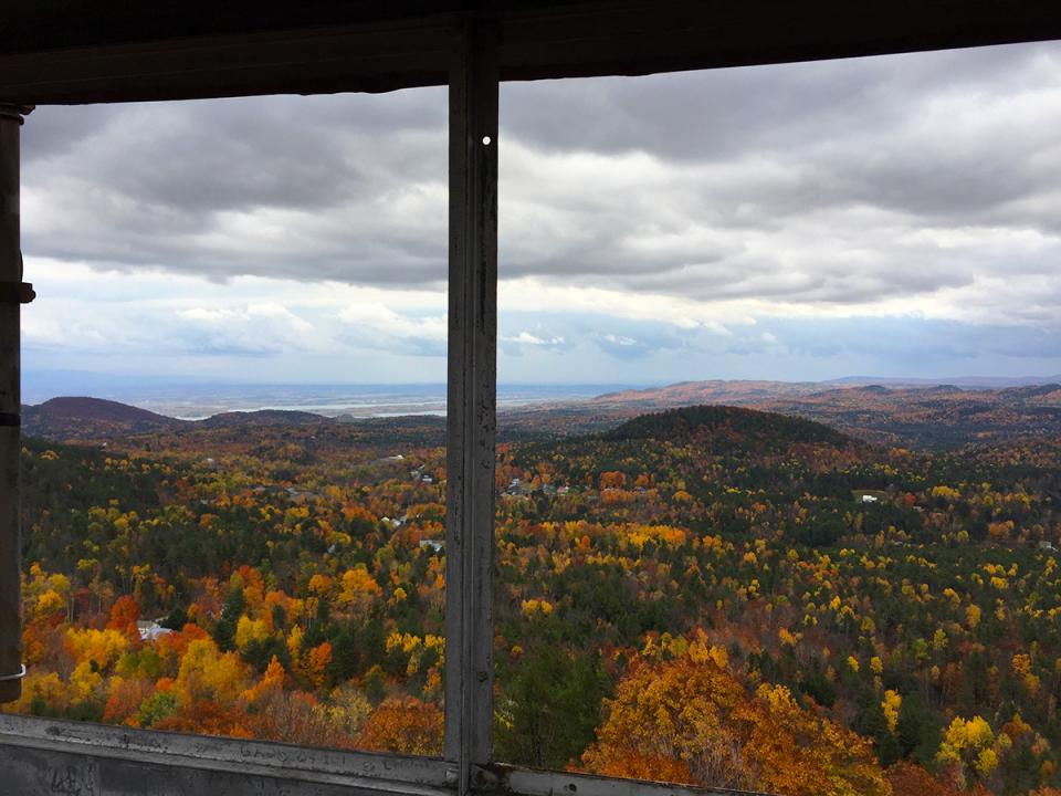 View from the Belfry Mt. fire tower