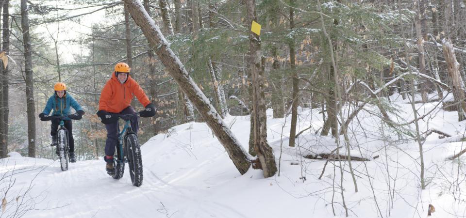 Two people ride fat tire bikes on a snowy trail, surrounded by a young forest