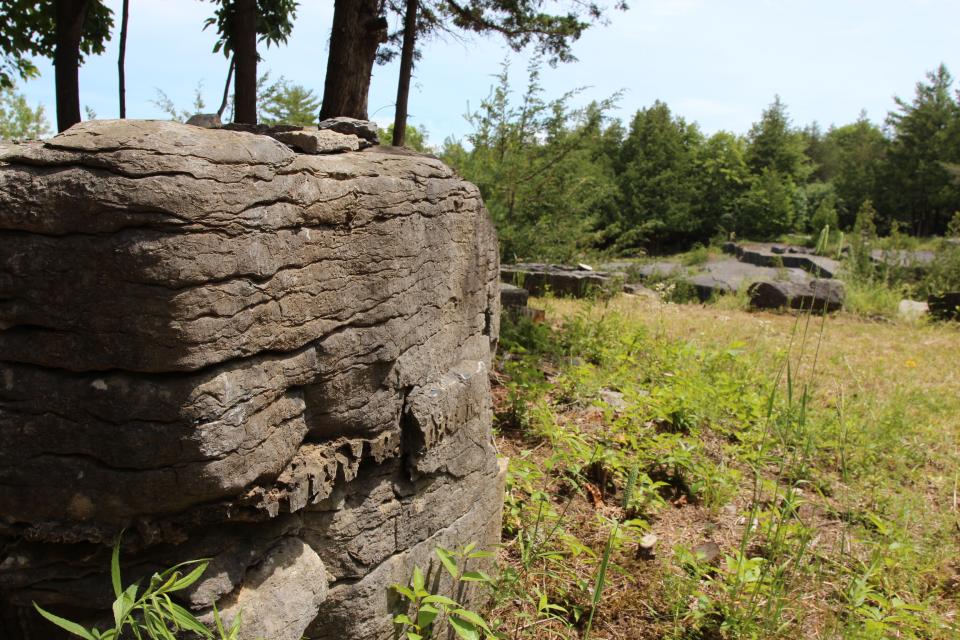 A layered block of stone on the top of a quarry with trees in the background.