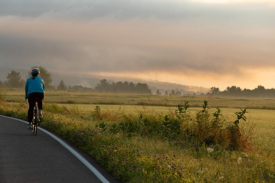 A cyclist rides along a road at dawn with trees silhouetted in the background