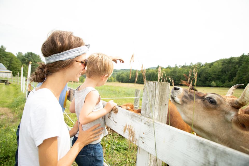 A woman and her young child stand by a wooden fence to say hello to the cows