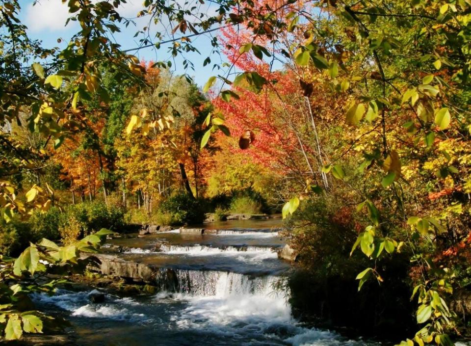 Red, orange, and yellow trees surround a river with small waterfalls