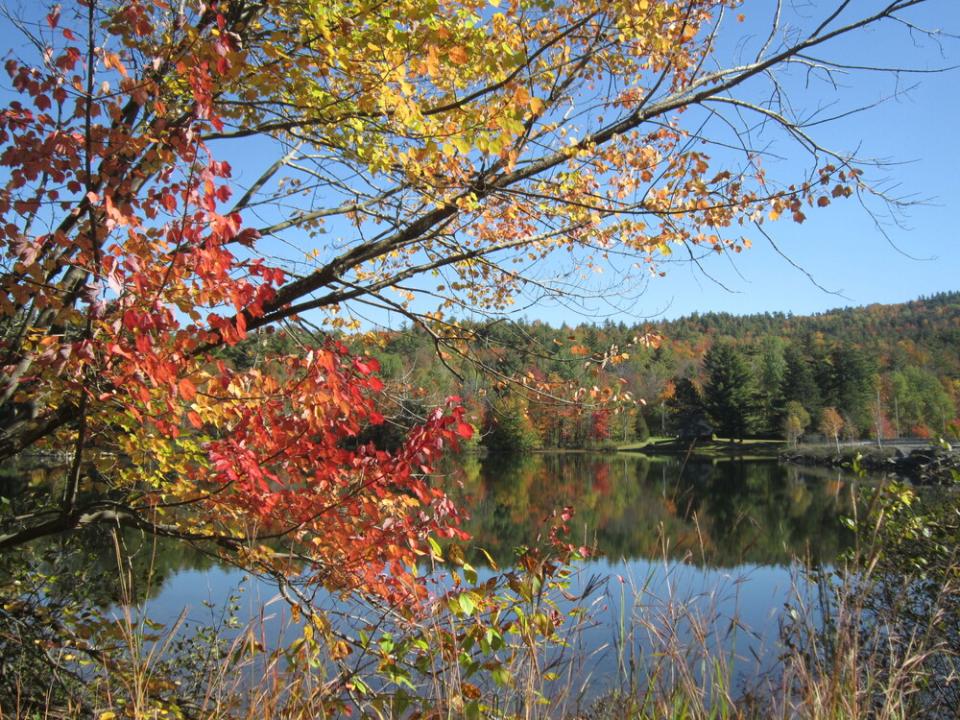 Red, orange, and yellow trees stand beside a pond with blue skies above