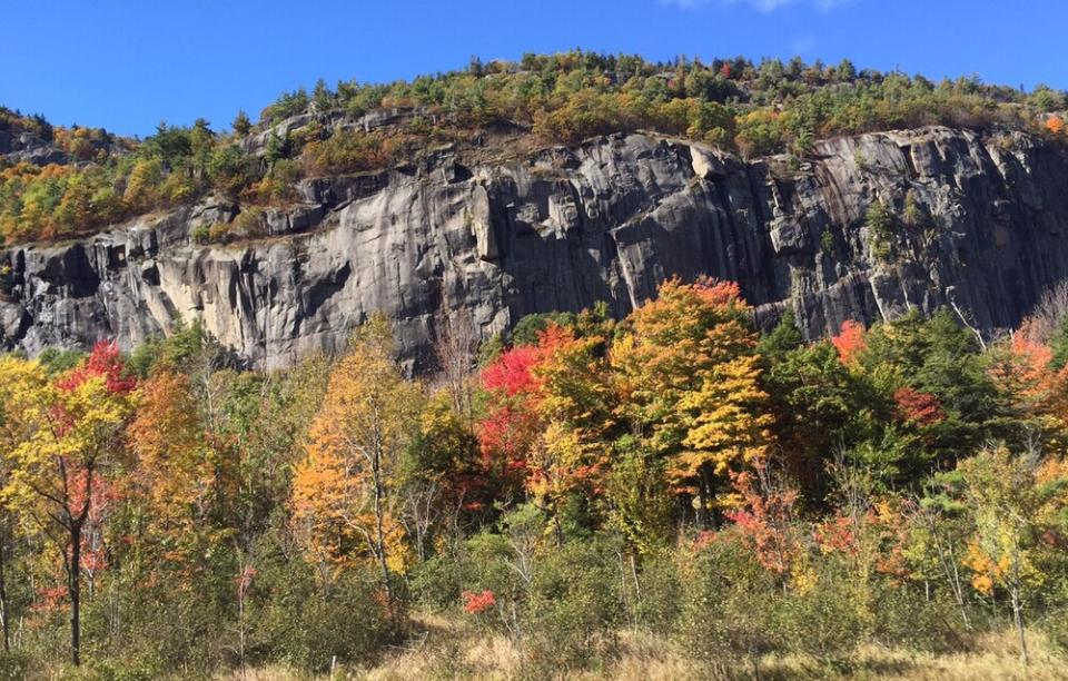 Red, orange, and yellow trees stand against a tall rock wall face with blue skies above