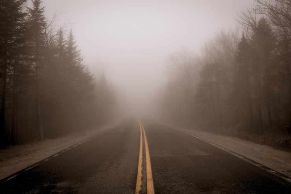 A foggy back road with leaf-less trees on the edges.