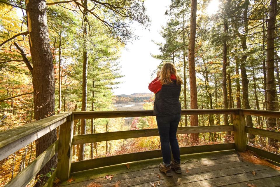 A woman stands on a wooden platform overlooking a marshy area in the fall.