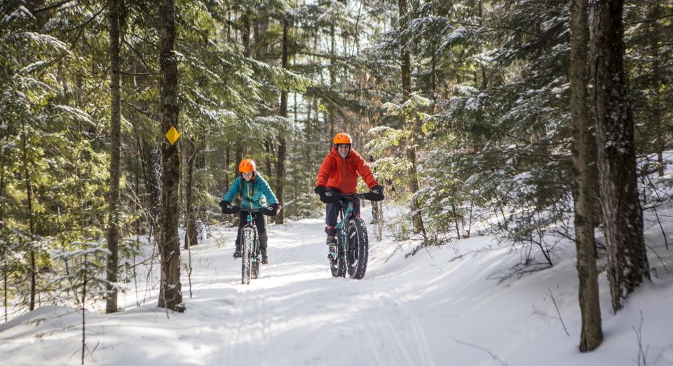 Two people ride fat tire bikes on a wide flat trail, lined with pines.