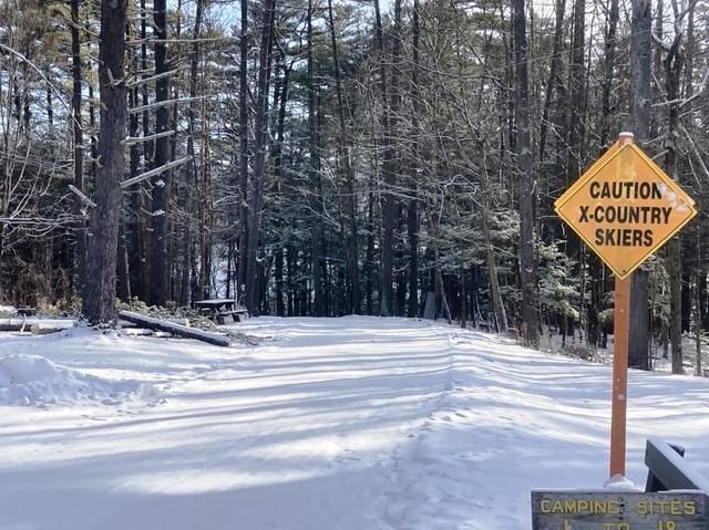 A cross-country ski trail in a snowy forest with a sign that says "xc skiing"