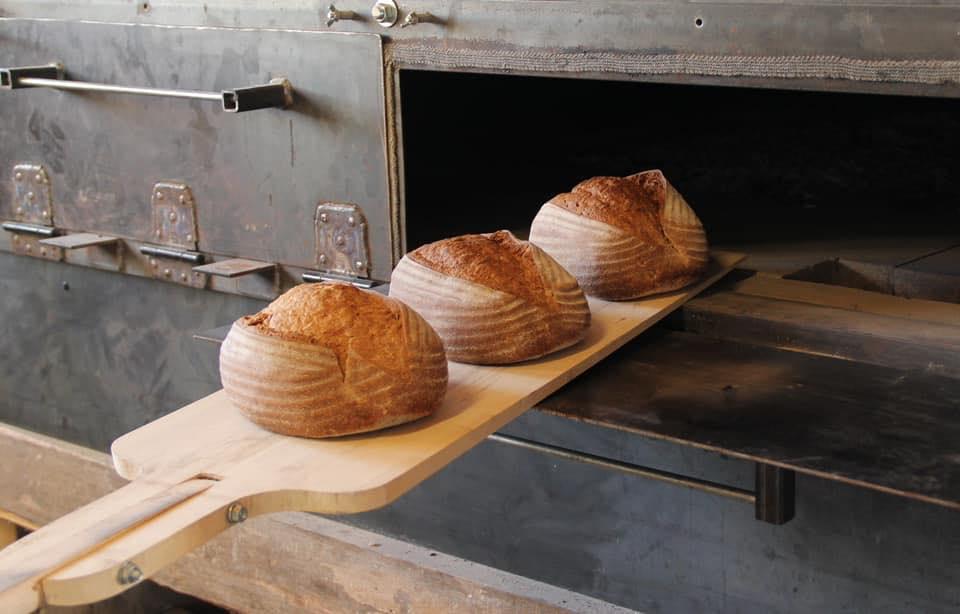 Three round loaves of bread sit on a baker's peel as they are removed from a bread oven.